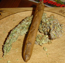 Ingredients for rolling a first-class blunt with marijuana.